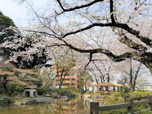 掃部山公園【横浜市】